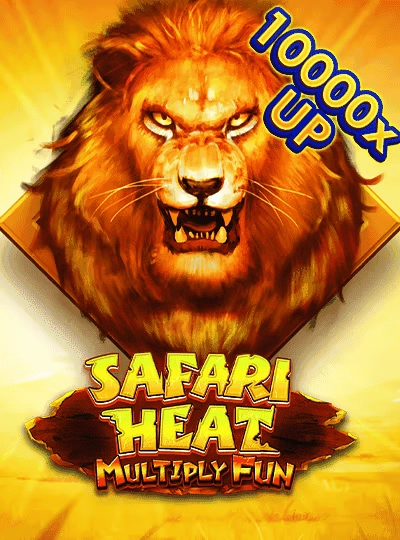 BPL cricket match betting cover